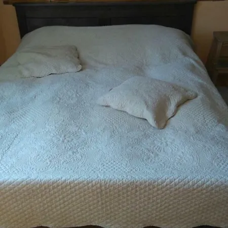 Kot 公寓